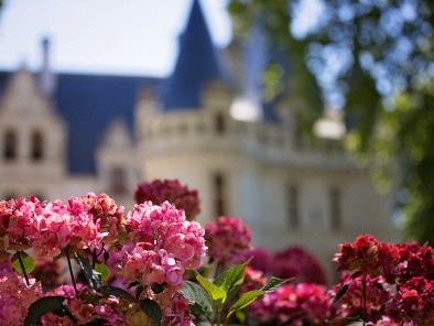 Zámky Loira (2)