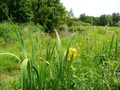 Ploučnice a Jizera (1)