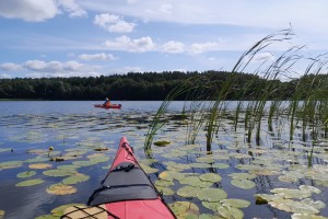 Jezerní systém Mecklenbursko. Národní park Müritz, Německo.